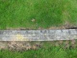 image of grave number 835697
